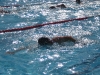 FirmenUltra 2010 - Swim